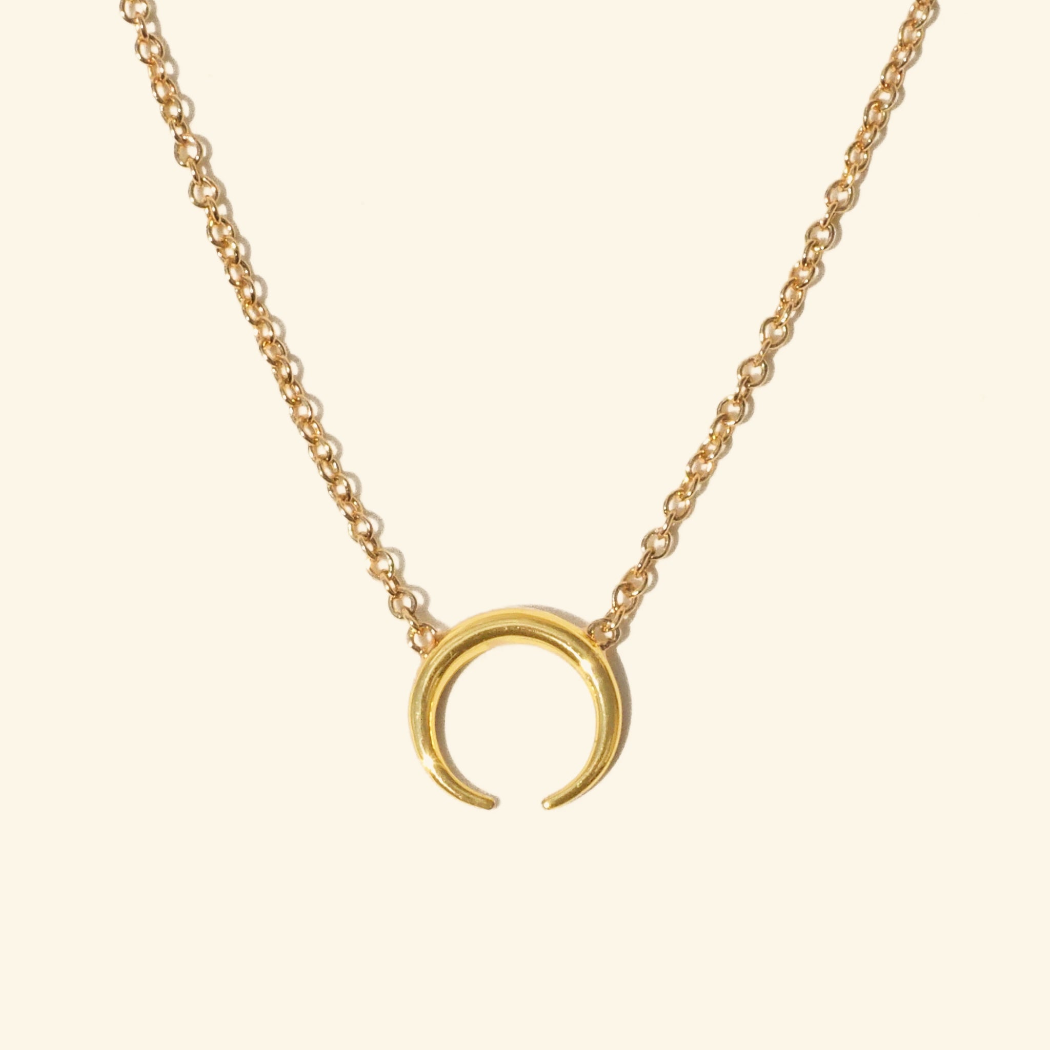 Mini Horn Necklace